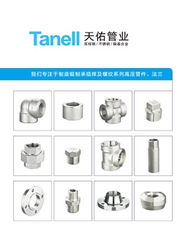 Corporate promotional brochure